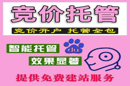 不同预算下的百度推广：案例分析与费用解析